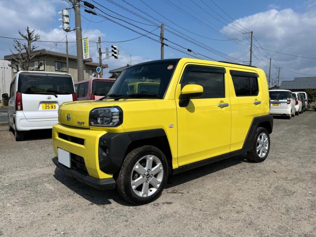 タフト(新潟県新潟市西区)