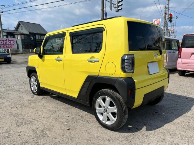 タフト(新潟県新潟市西区)