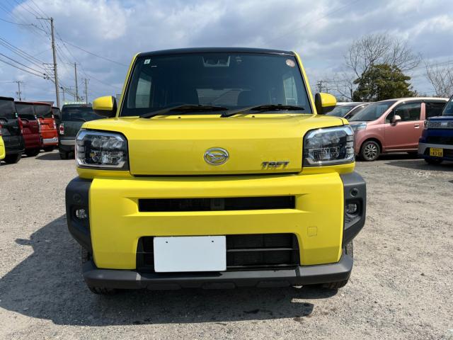 タフト(新潟県新潟市西区)