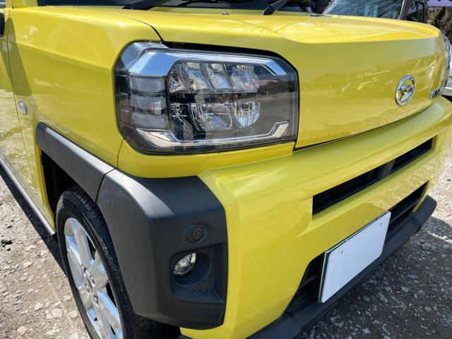 タフト(新潟県新潟市西区)