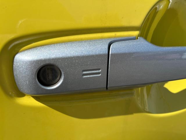 タフト(新潟県新潟市西区)