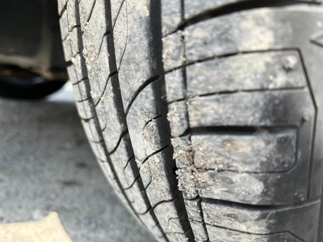 ハスラー(新潟県新潟市西区)