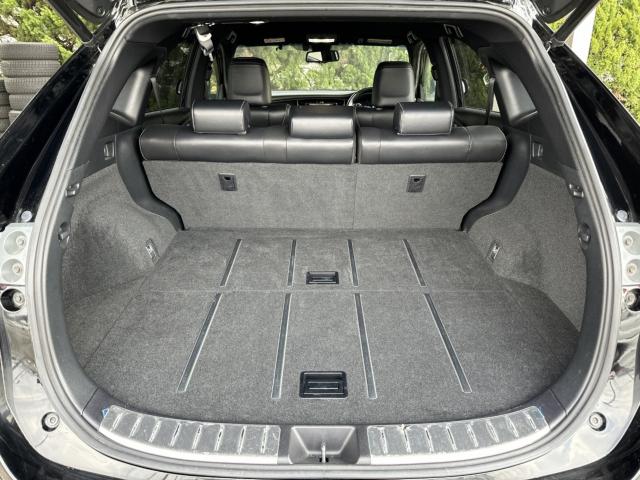 ハリアー（新潟県長岡市）画像28