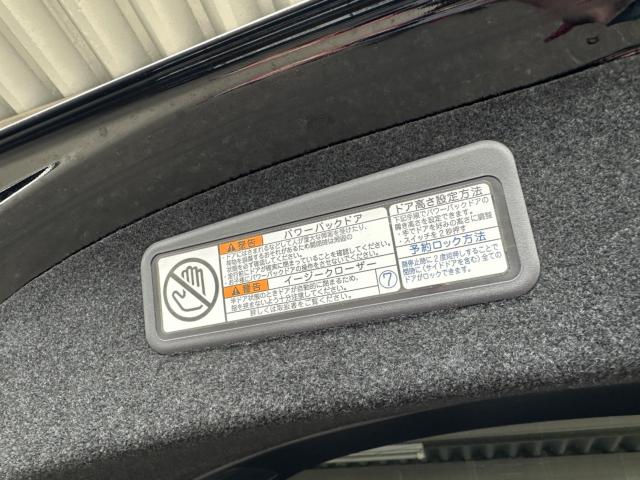 ハリアー（新潟県長岡市）画像29