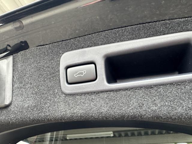 ハリアー（新潟県長岡市）画像30