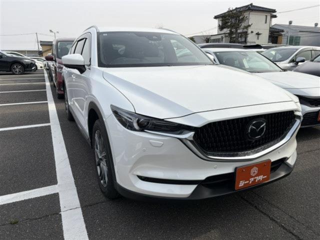 CX-8（新潟県新潟市東区）