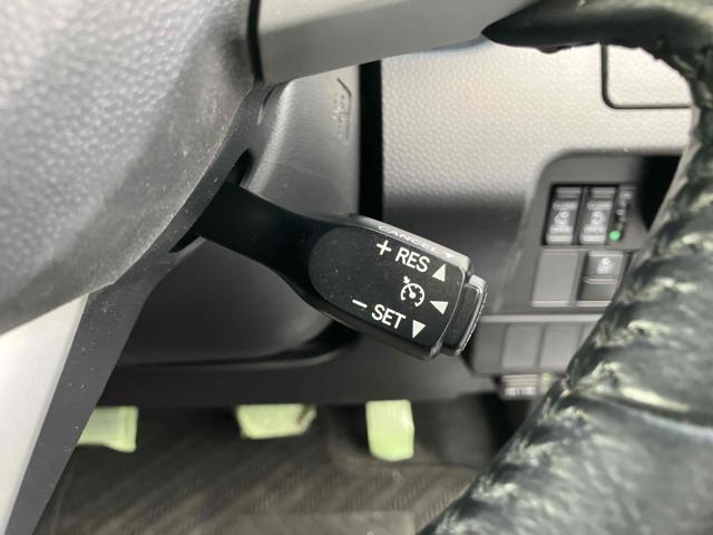 トール（新潟県新潟市中央区）