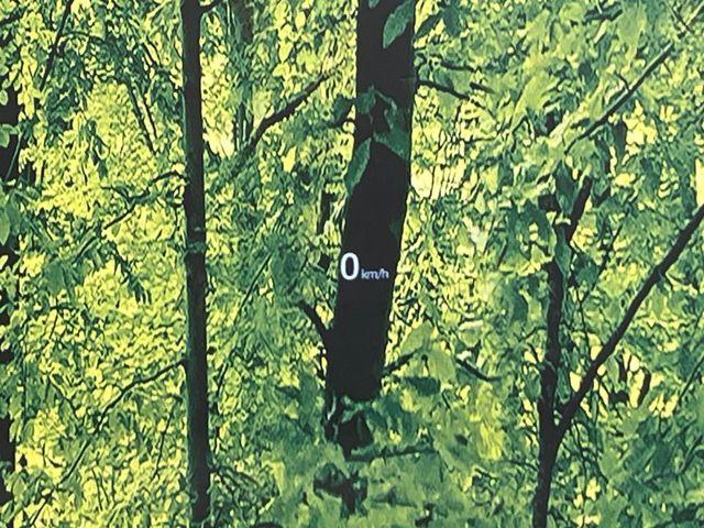 CX-5（新潟県新潟市南区）