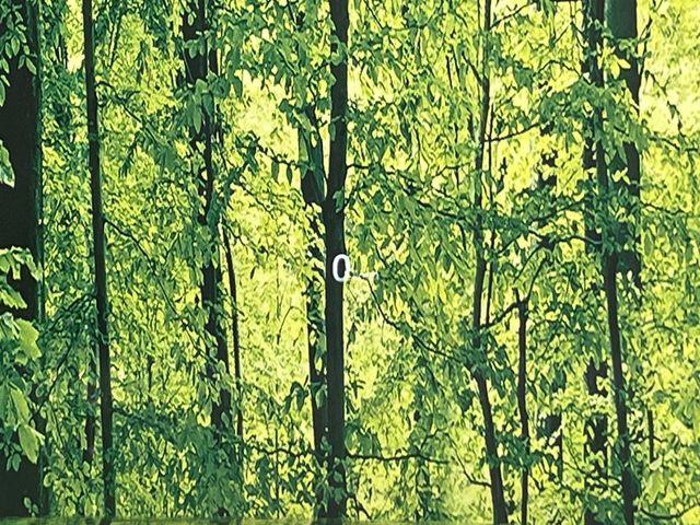 CX-8（新潟県新潟市南区）