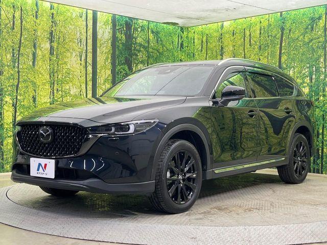 CX-8（新潟県新潟市南区）