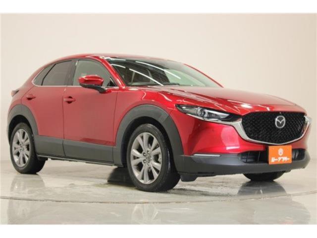 ＣＸ－３０（新潟県新潟市東区）画像7