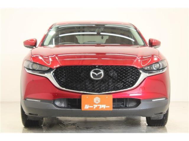 ＣＸ－３０（新潟県新潟市東区）画像8