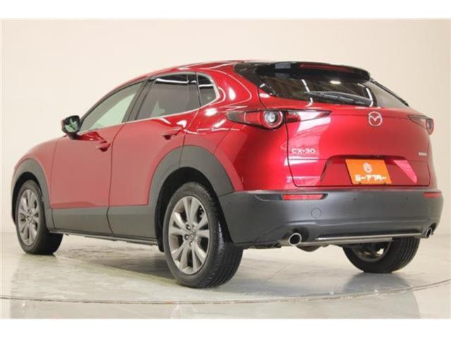 ＣＸ－３０（新潟県新潟市東区）画像11