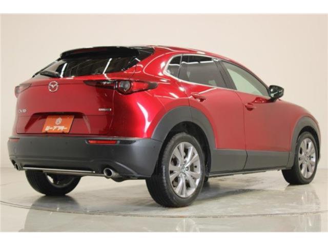 ＣＸ－３０（新潟県新潟市東区）画像13