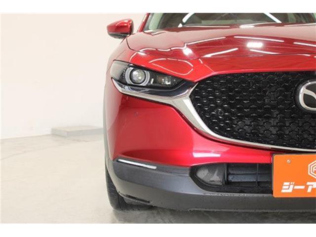 ＣＸ－３０（新潟県新潟市東区）画像17