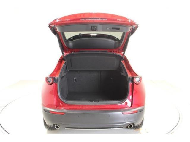 ＣＸ－３０（新潟県新潟市東区）画像32