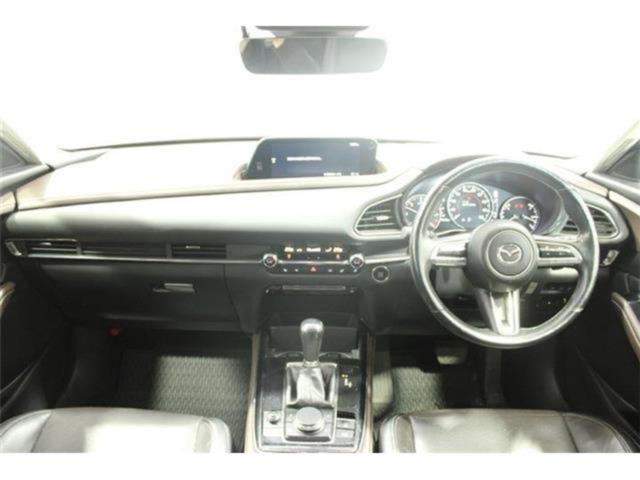 ＣＸ－３０（新潟県新潟市東区）画像44