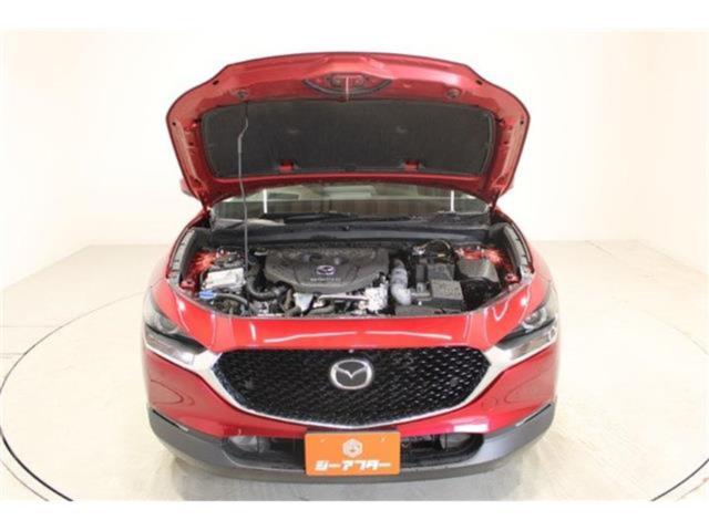 ＣＸ－３０（新潟県新潟市東区）画像70