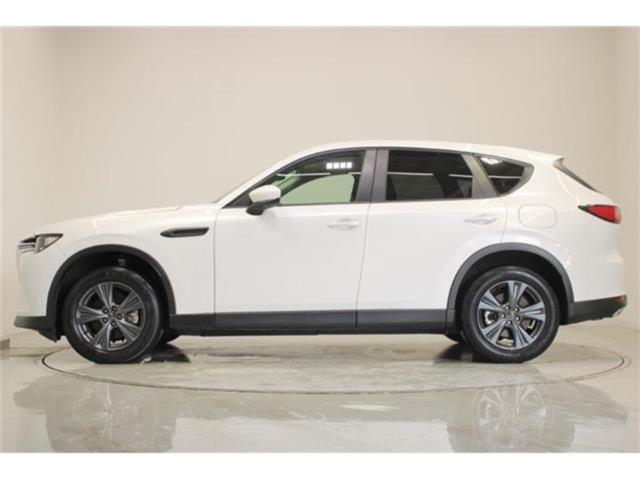 CX-60（新潟県新潟市東区）画像10