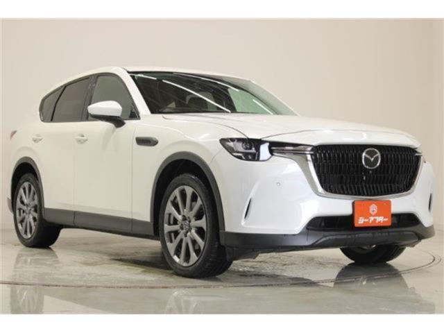 CX-60（新潟県新潟市東区）画像7