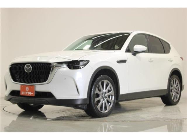 CX-60（新潟県新潟市東区）画像9