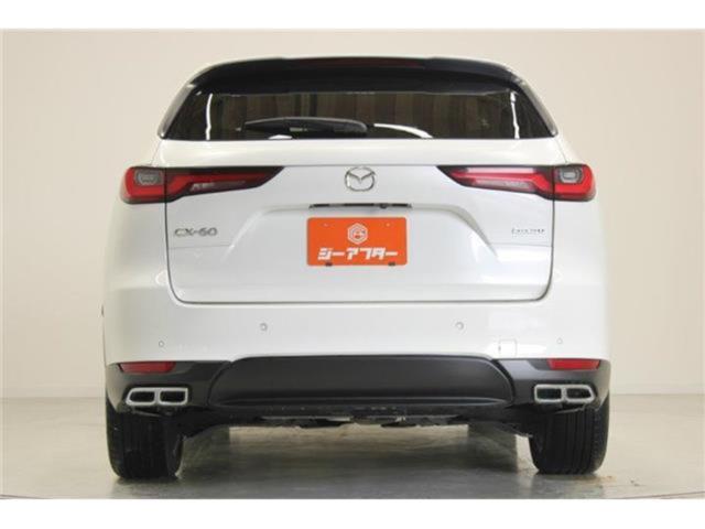 CX-60（新潟県新潟市東区）画像12