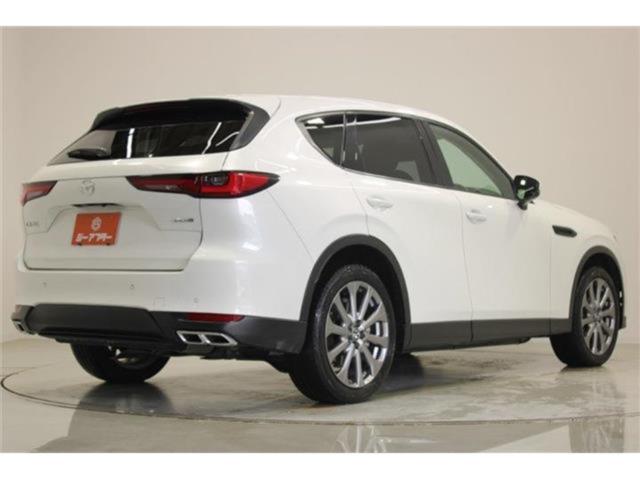 CX-60（新潟県新潟市東区）画像13