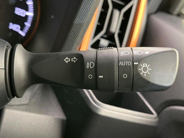 タフト（新潟県新潟市東区）