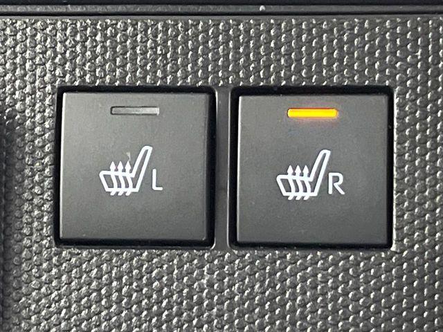 タフト（新潟県新潟市東区）