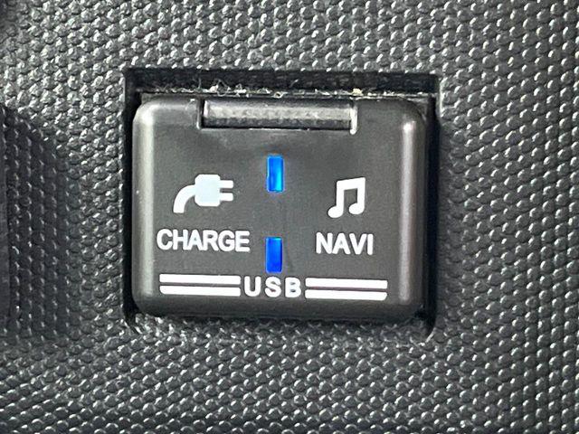 タフト（新潟県新潟市東区）