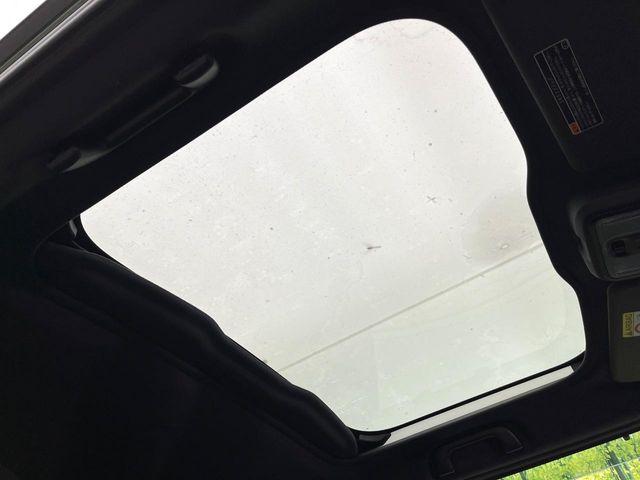 タフト（新潟県新潟市東区）