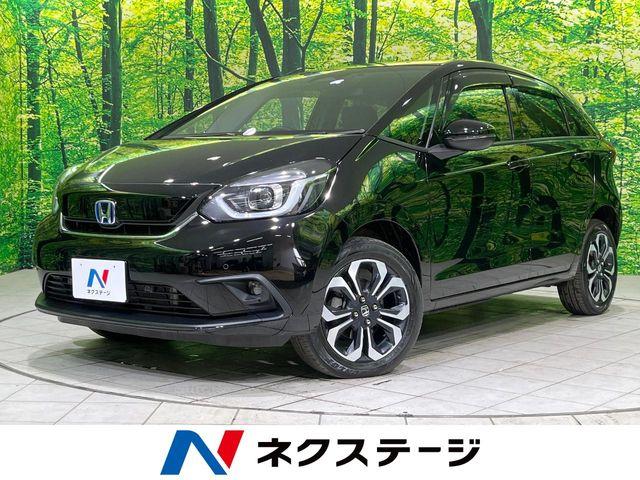 フィット（新潟県長岡市）