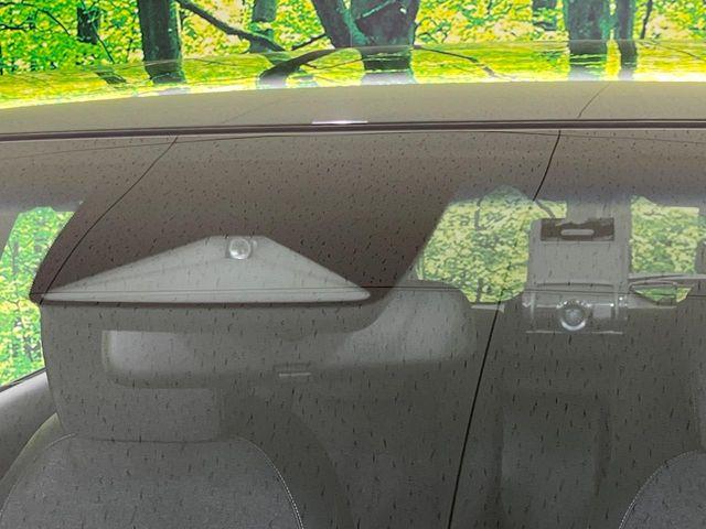 フィット（新潟県長岡市）