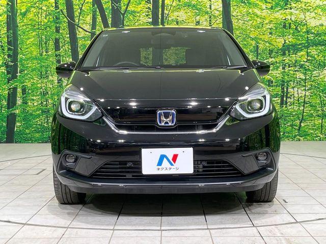 フィット（新潟県長岡市）