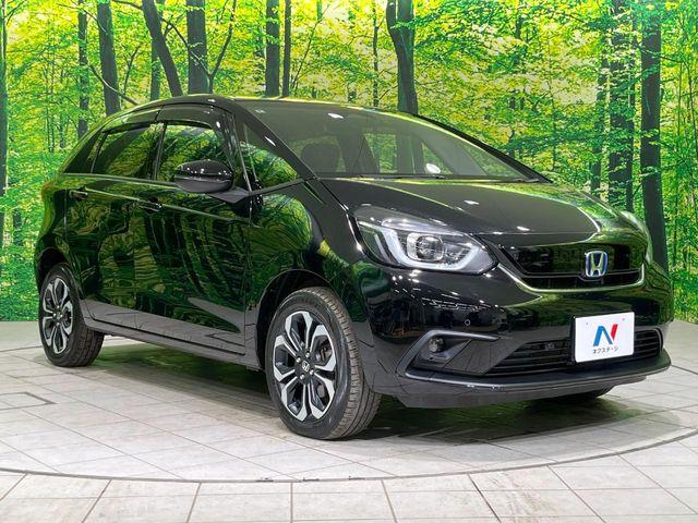 フィット（新潟県長岡市）