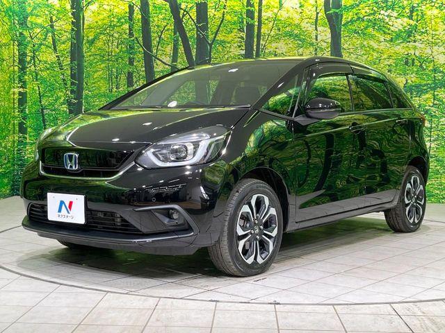 フィット（新潟県長岡市）