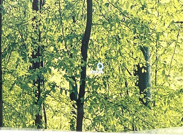 エクストレイル（新潟県新潟市東区）画像67