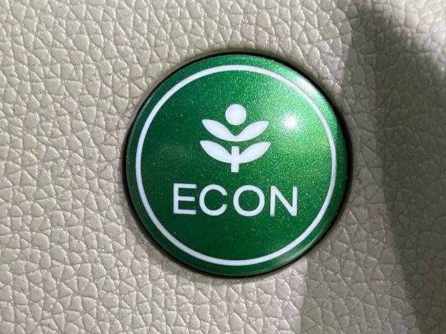 N-WGN（新潟県長岡市）