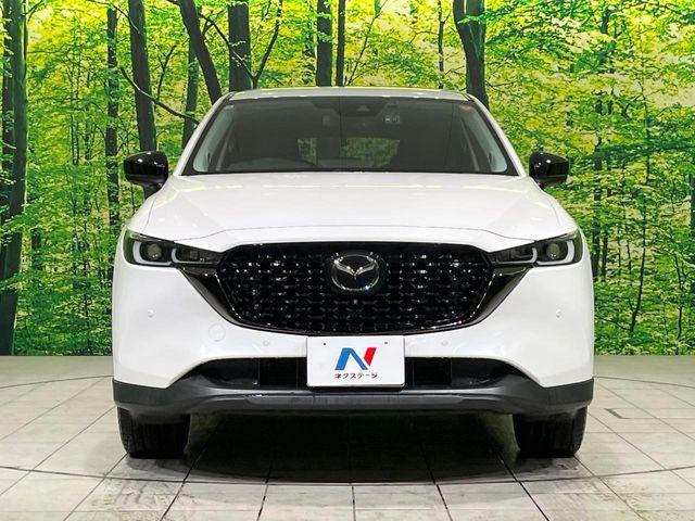 CX-5（新潟県長岡市）画像14