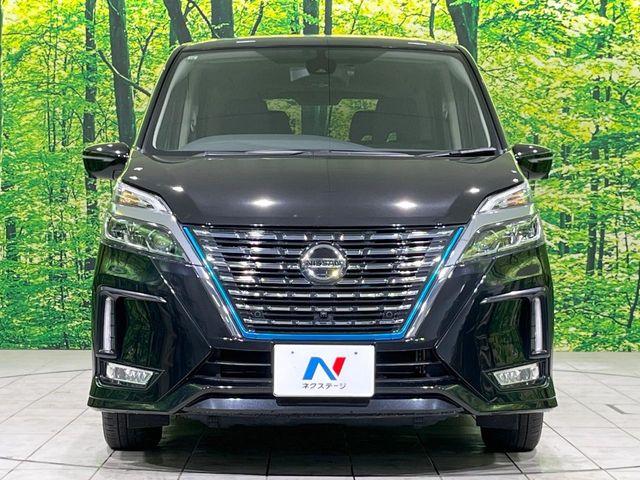 セレナ（新潟県長岡市）