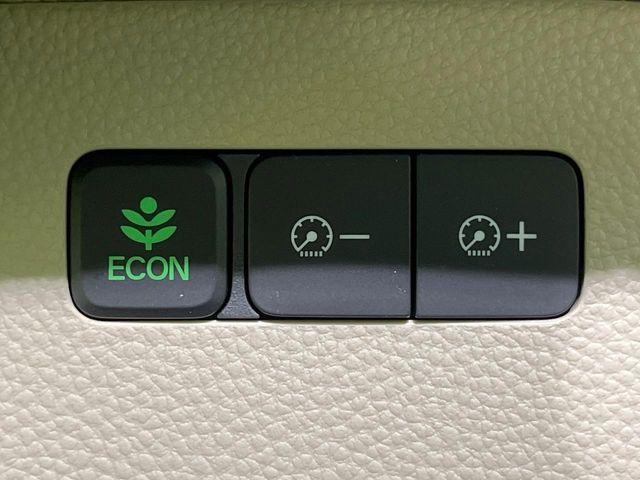 N_BOX(新潟県長岡市)