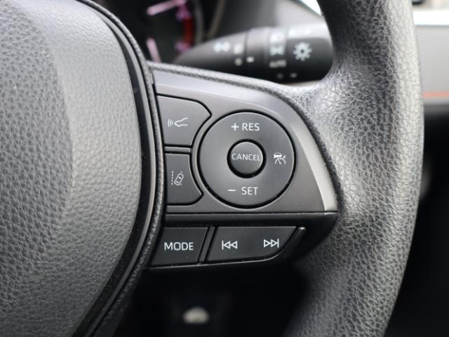 RAV4(新潟県新潟市中央区)