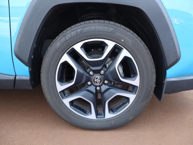 RAV4(新潟県新潟市中央区)