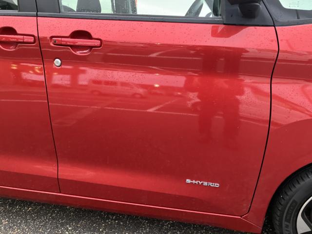 ルークス（新潟県新潟市西蒲区）画像21