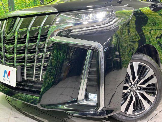 アルファード(新潟県長岡市)