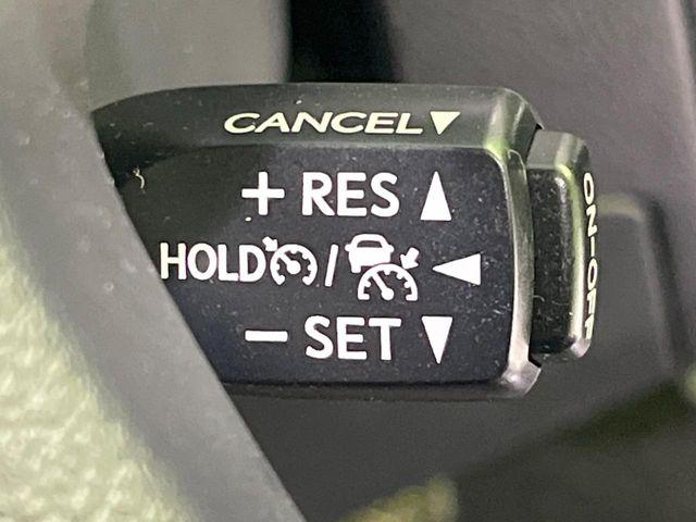 アルファード(新潟県長岡市)