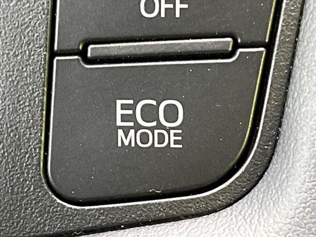 アルファード(新潟県長岡市)