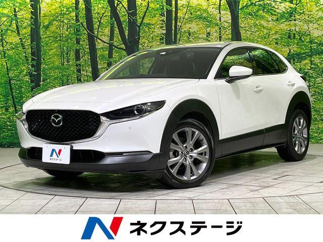 ＣＸ－３０（新潟県長岡市）