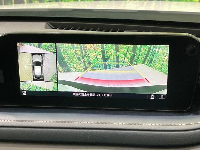 CX-30(新潟県長岡市)