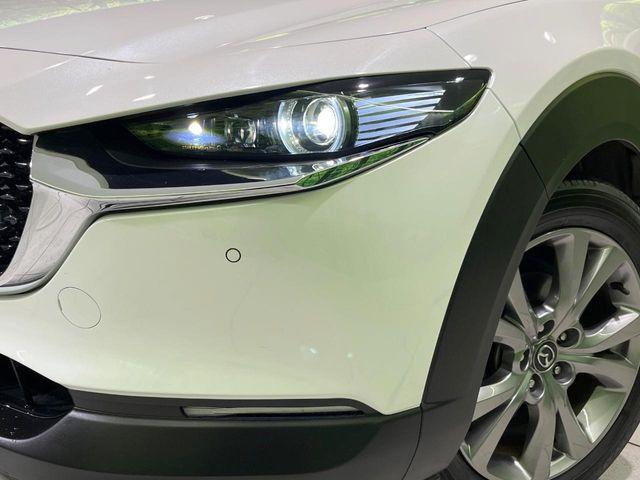 CX-30(新潟県長岡市)